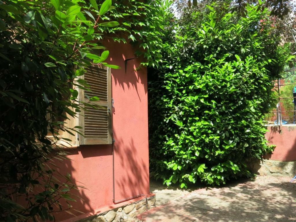 Chalet Navacerrada Piscina Privada Dış mekan fotoğraf